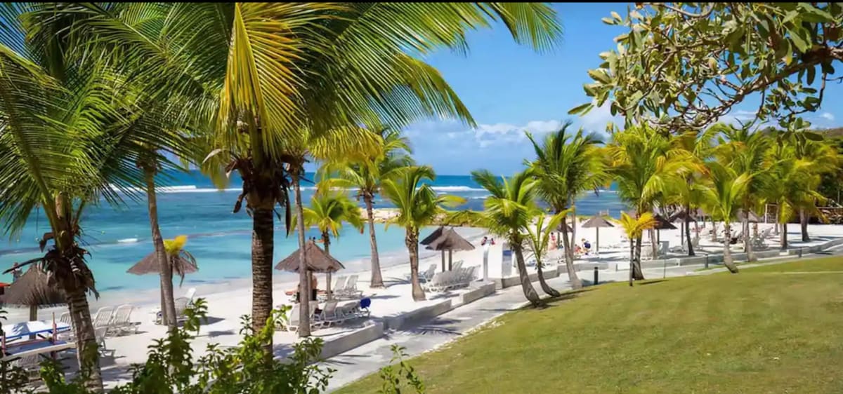 The image captures a serene beachfront scene, featuring soft sand and calm turquoise waters. Palm trees sway gently, leading to shaded areas with lounge chairs and straw umbrellas. The landscape is complemented by clear blue skies, creating a tranquil coastal environment.