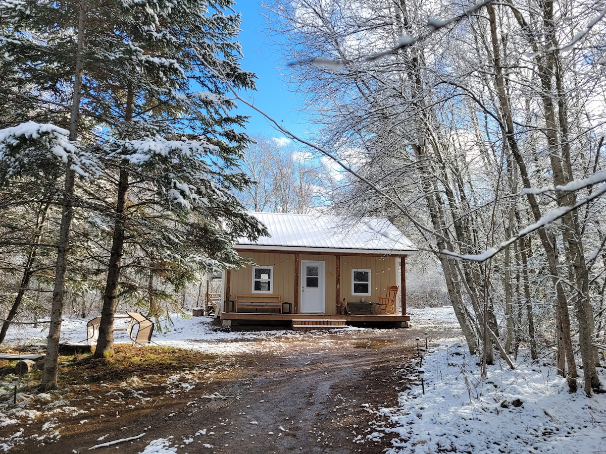 A cozy cabin stands among snow-covered trees, with a clear blue sky overhead. The structure features a welcoming front porch with rocking chairs and is surrounded by a landscaped path leading to a serene natural setting.