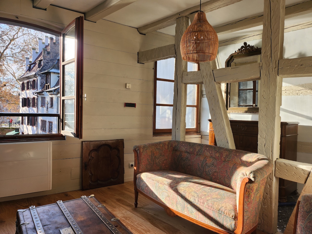 Top performing Airbnb: The Little Alsatian in Strasbourg