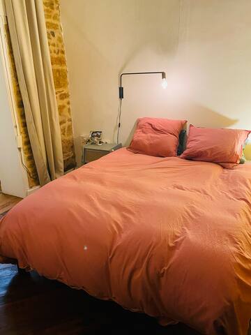 Hyper centre, Appartement Canut de 102m2 gallery image 5