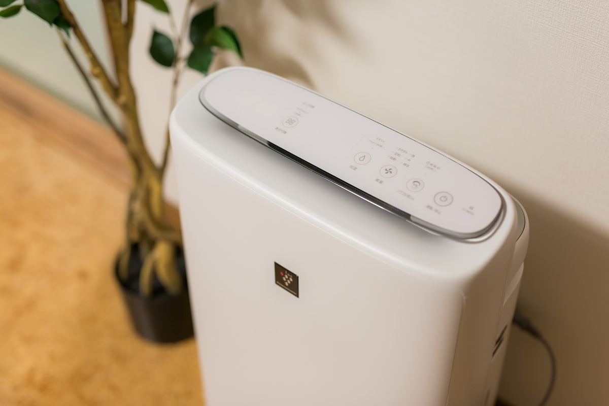 A modern air purifier is displayed prominently, featuring a sleek white design and a control panel with several buttons. A nearby potted plant adds a touch of greenery to the environment.