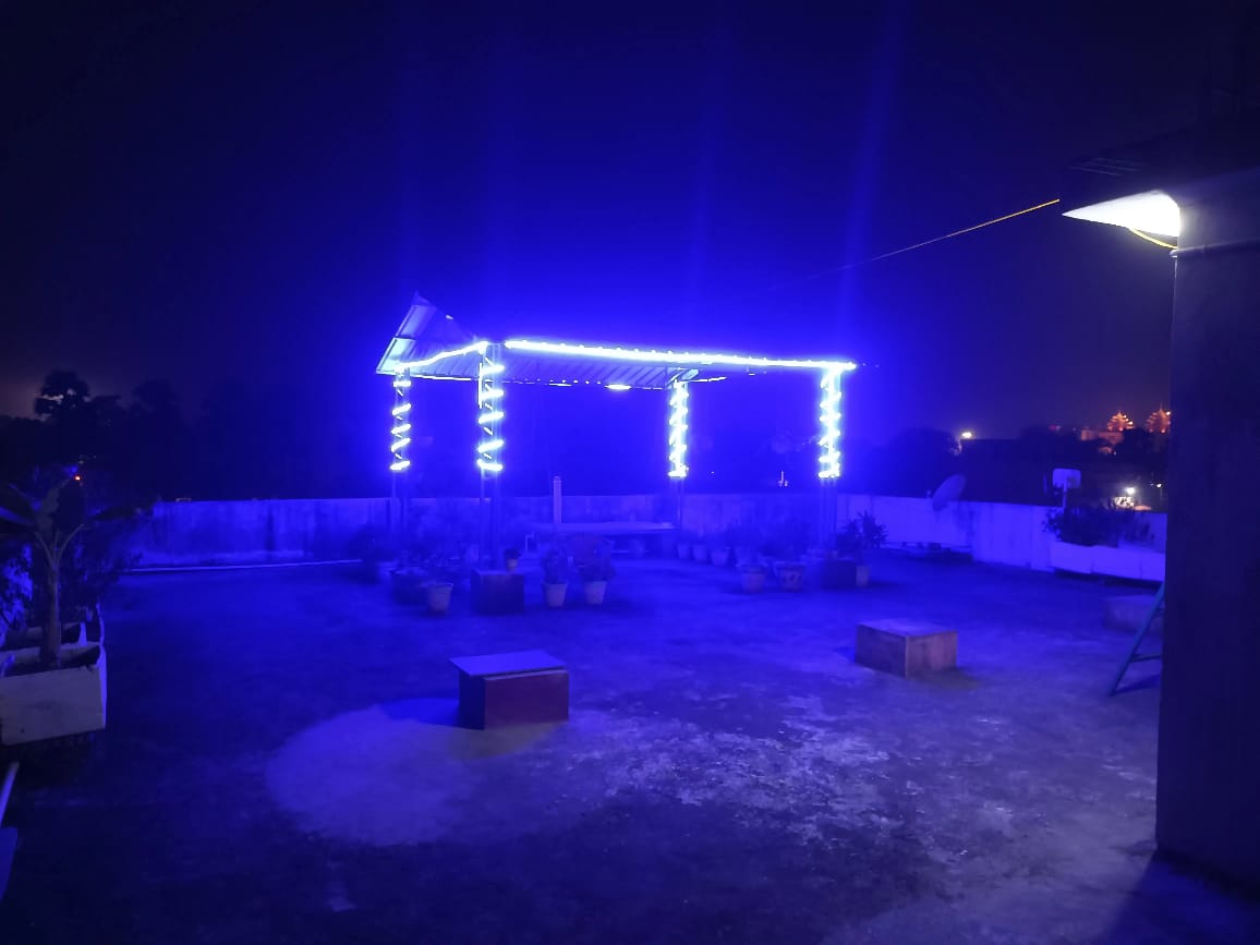 A rooftop area is illuminated with blue lighting, creating a soothing ambiance. Various potted plants are arranged around the space, alongside simple wooden benches. The concrete floor is visible, offering a clear view of the night sky and distant city lights.