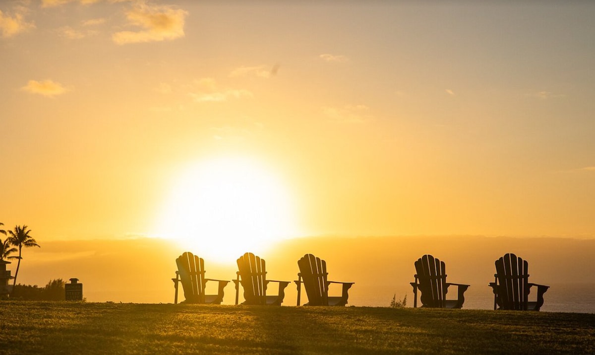 Five wooden adirondack chairs are positioned in a row on a grassy area, facing a vibrant sunset over the horizon. The sun casts a warm glow, creating a serene atmosphere, with palm trees visible in the background.