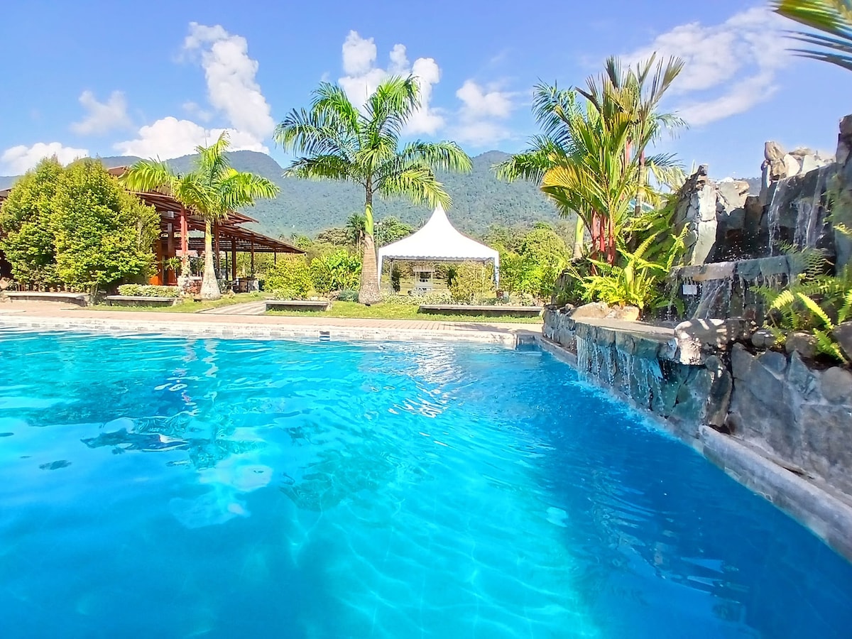 A large swimming pool is set against a backdrop of mountains and lush greenery. Palm trees are situated around the pool, with a tented area nearby. A waterfall feature cascades over the stone edge, enhancing the tranquil outdoor environment.
