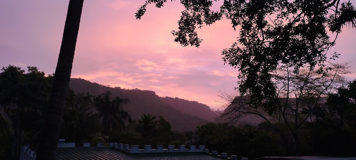 A scenic view captures a soft pink and purple sky at dusk, framed by lush greenery and silhouettes of trees. Rolling hills are visible in the distance, creating a serene backdrop that highlights the natural beauty of the Wild Coast.