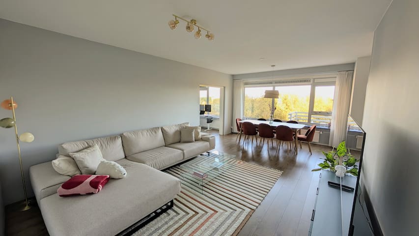 Spacious Apartment in Amsterdam with Park View