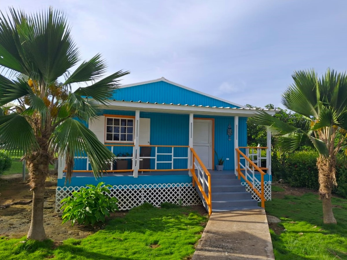A vibrant blue cottage is presented, featuring a welcoming front porch with a railing and steps leading to a white door. Lush greenery and palm trees frame the exterior, highlighting the serene outdoor environment.