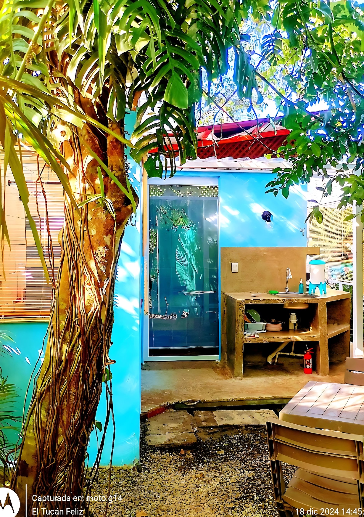 A secluded outdoor area is framed by lush green palms and colorful walls. A small kitchenette is positioned against a textured wall, with a rain shower visible through a glass door. Natural stone pathways connect the casita to the tropical garden.