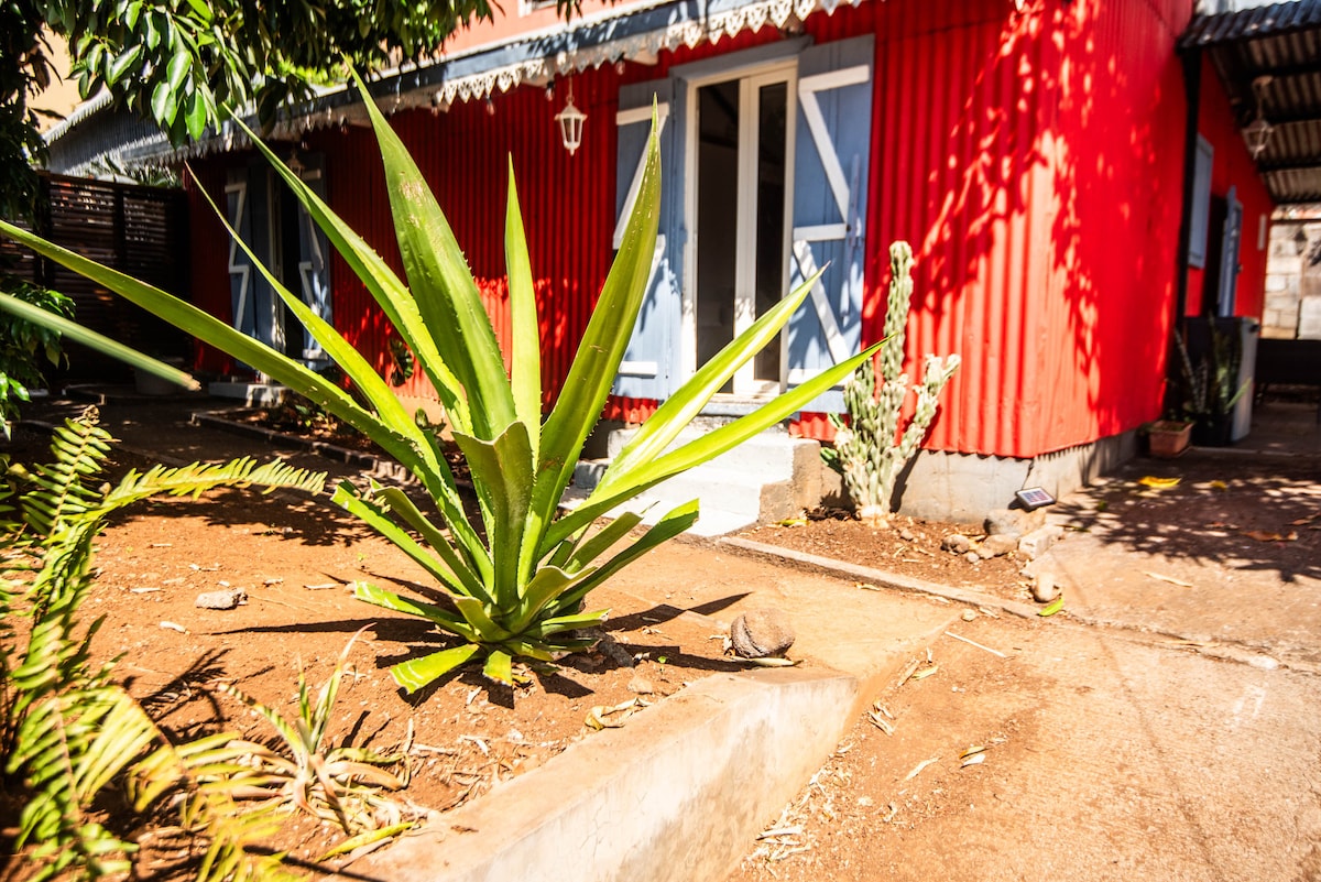 The exterior of the traditional wooden house is highlighted by vibrant red walls and features a decorative overhang. A large agave plant is positioned in the foreground, surrounded by other greenery. Two sets of double doors offer access to the inviting interior.