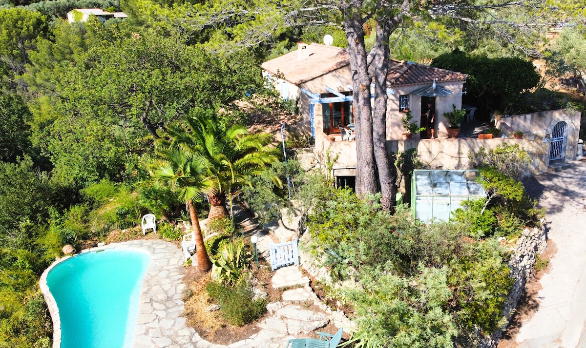 An aerial view of the two-level house reveals a lush garden filled with greenery and a private pool with a curved shape. The stone pathway leads to the house, where large windows invite natural light, surrounded by trees and vibrant plants that enhance the natural setting.
