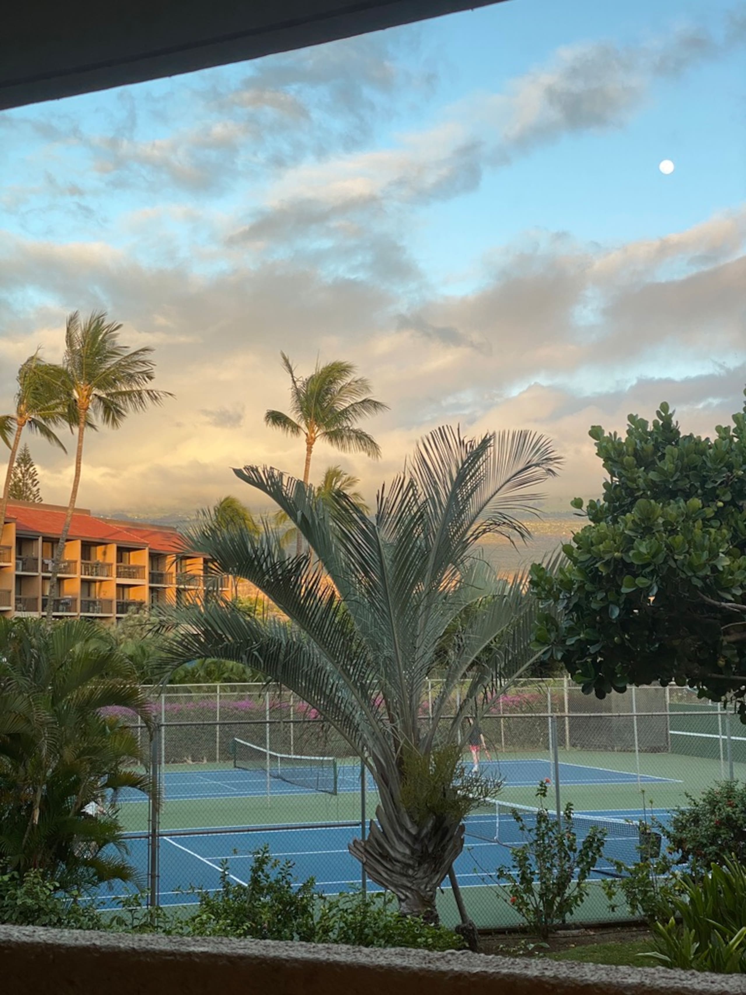 Condo in Kihei · ★4.96 · 1 bedroom · 2 beds · 1 bath - Image 23