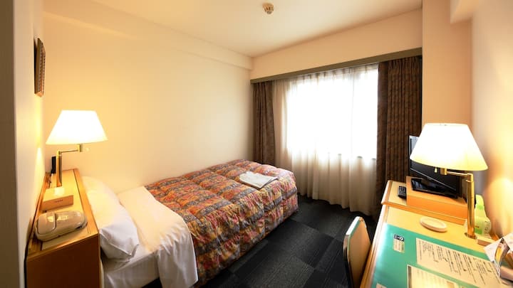 Room Only  Single (Non-smoking)/2ppl - 豊田市