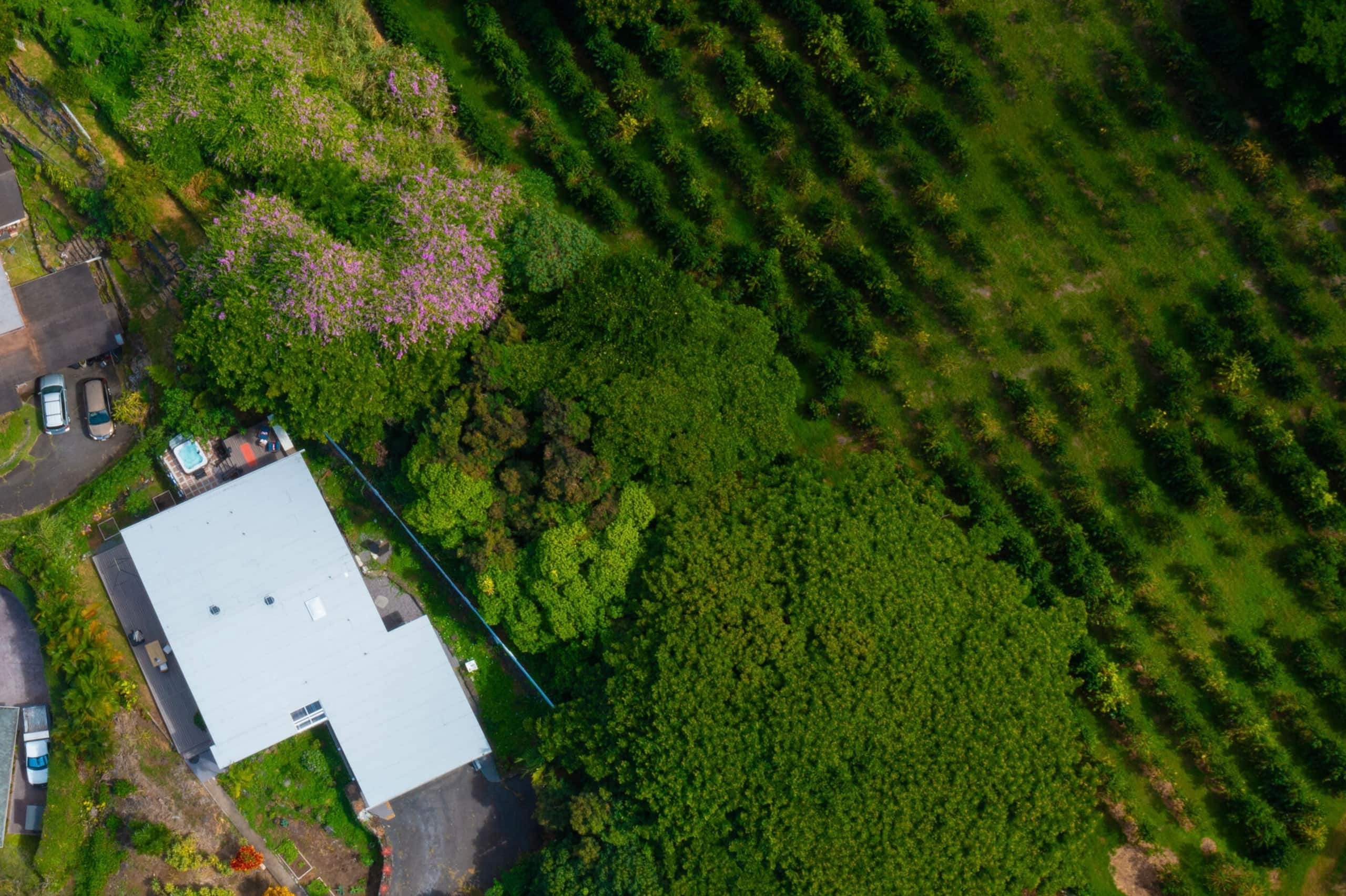 Home in Kailua-Kona · ★4.99 · 2 bedrooms · 4 beds · 2.5 baths - Image 85