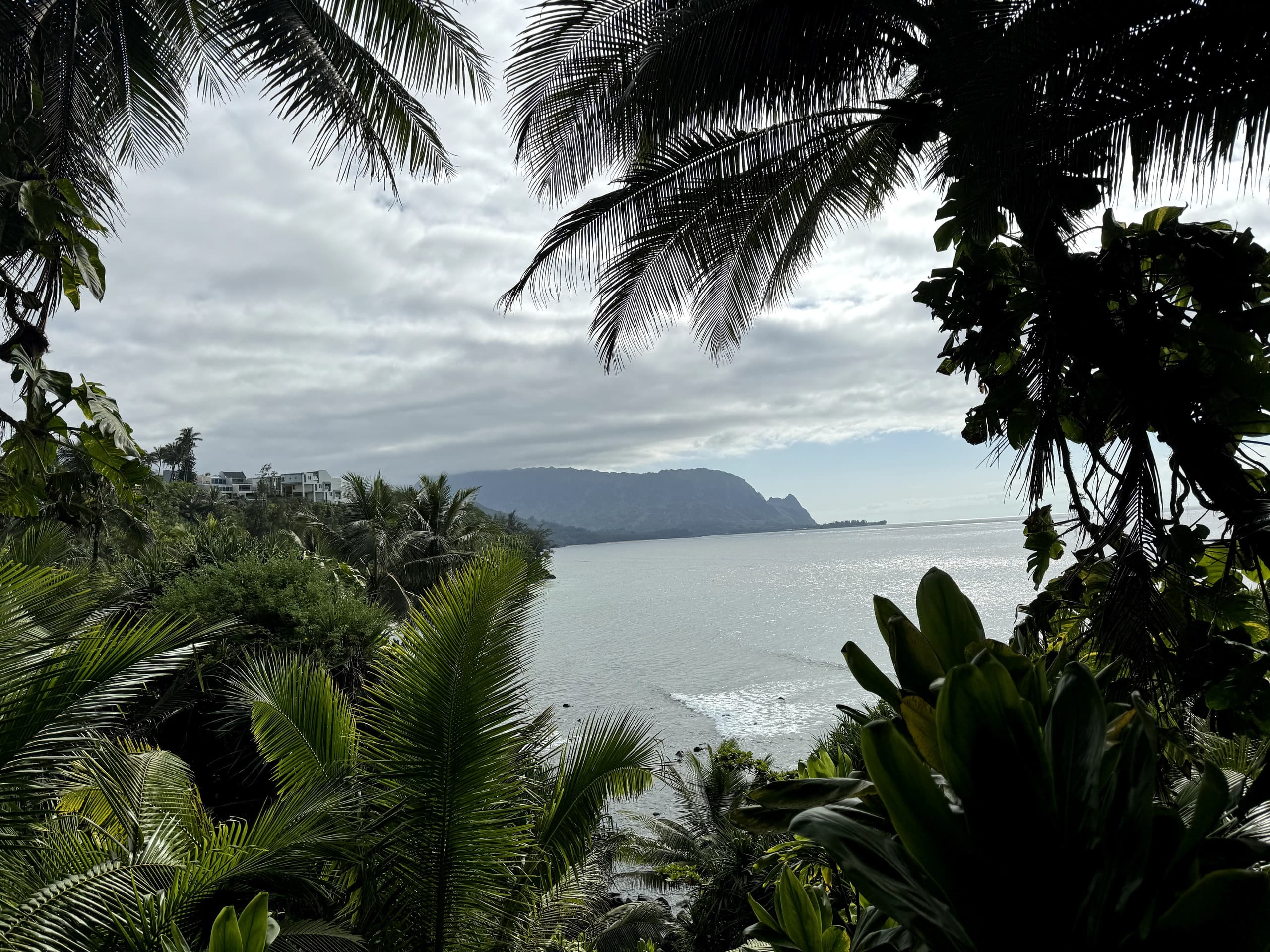 Condo in Princeville · ★4.97 · Studio · 1 bed · 1 bath - Image 36