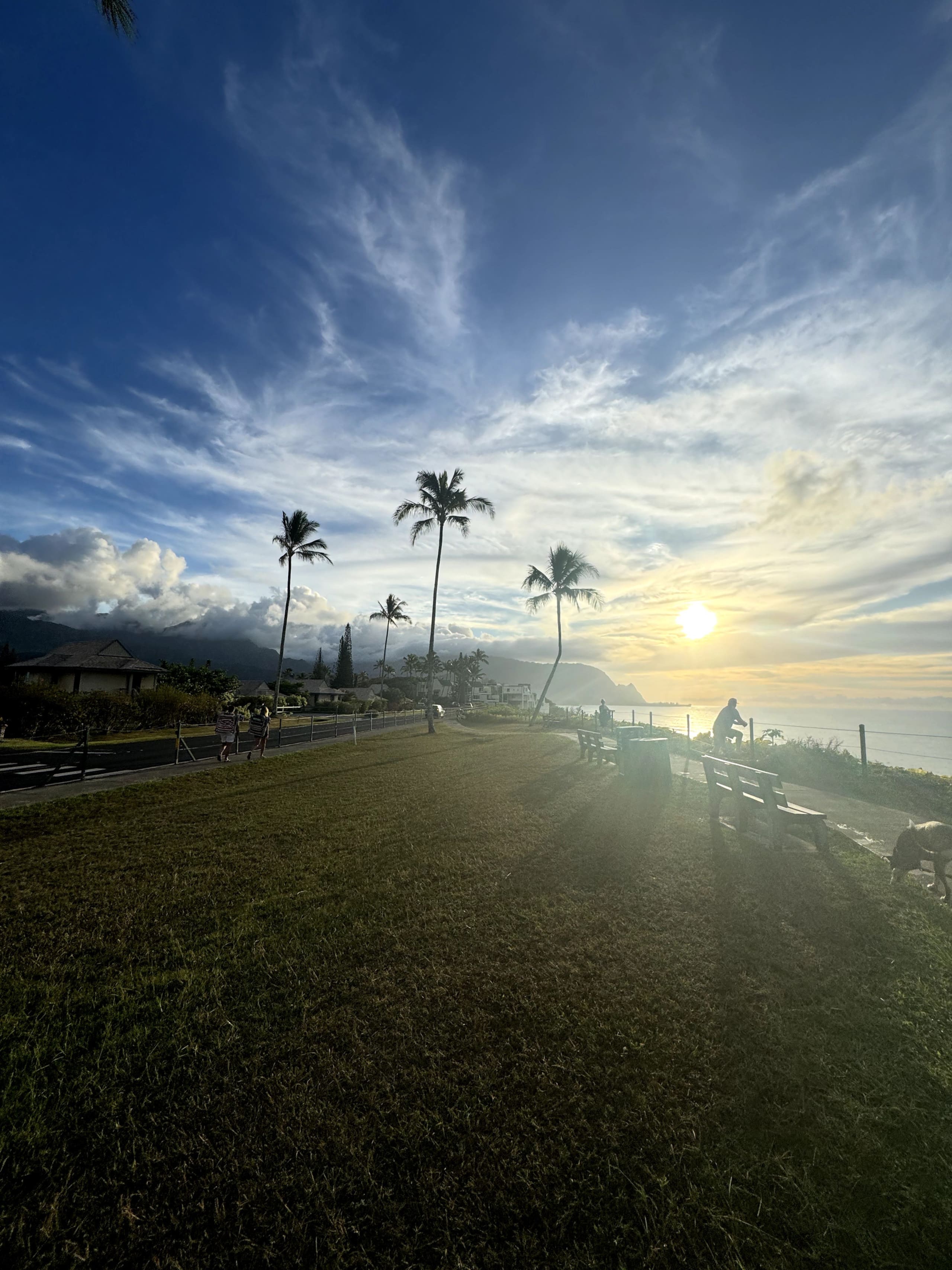 Condo in Princeville · ★4.97 · Studio · 1 bed · 1 bath - Image 34
