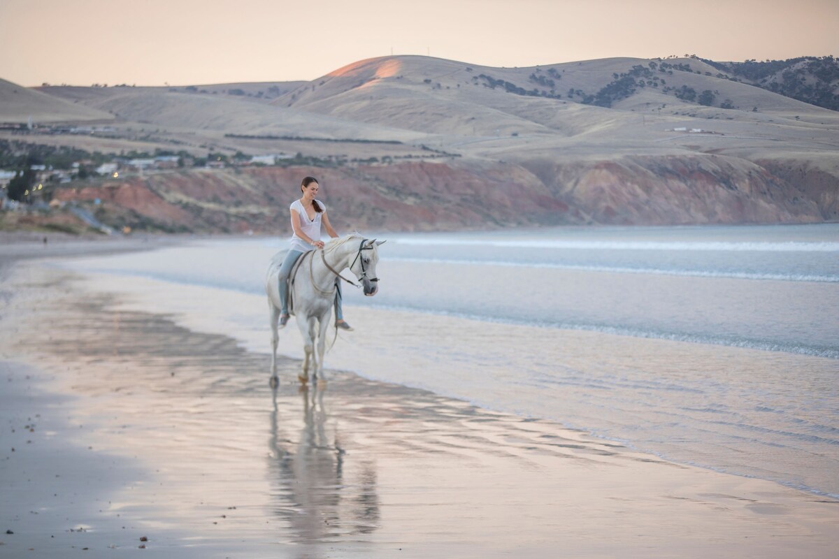 A person is seen riding a white horse along the shoreline at sunset, with gentle waves lapping at the feet. Soft pastel hues light up the sky and reflect on the wet sand, while distant hills frame the backdrop.