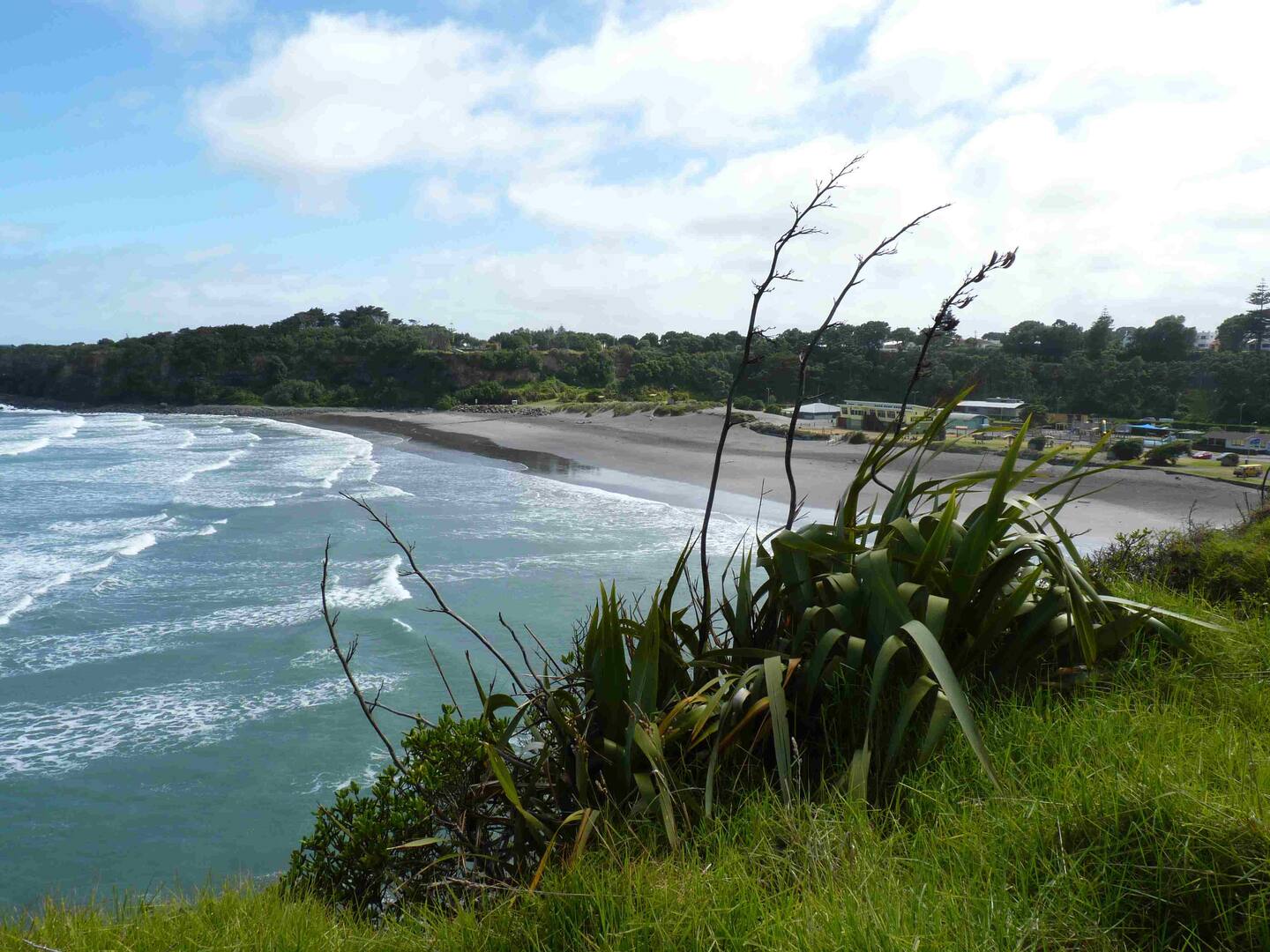 Pohutukawa Retreat 5