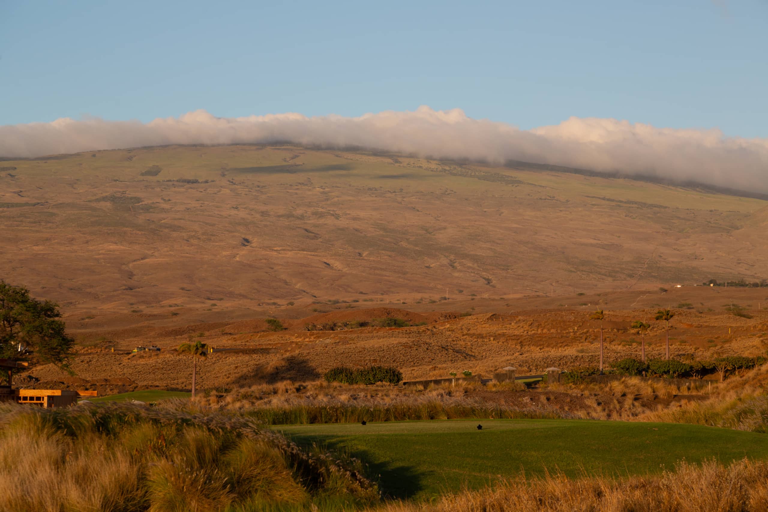 Home in Waimea · ★5.0 · 4 bedrooms · 5 beds · 4.5 baths - Image 105