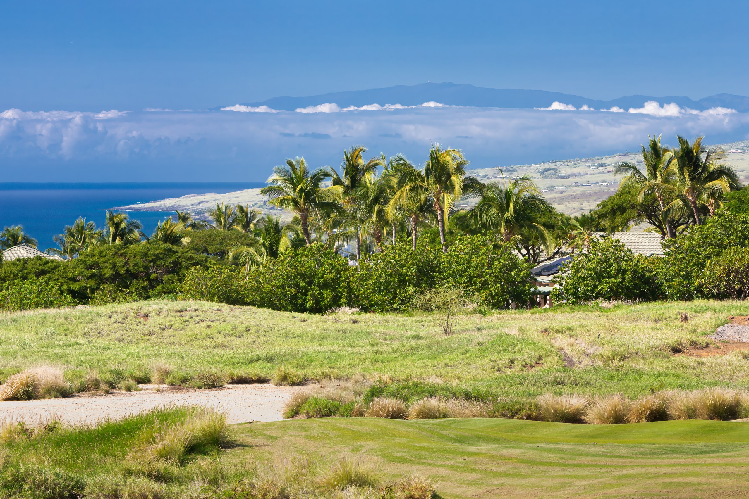 Home in Waimea · ★5.0 · 4 bedrooms · 5 beds · 4.5 baths - Image 99