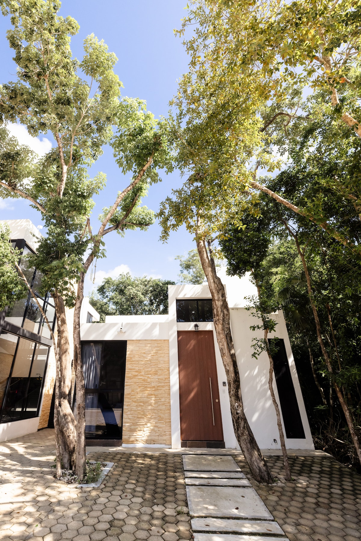 The exterior of the accommodation features a modern design with a prominent wooden door. Tall trees frame the structure, providing natural shade. The pathway leading to the entrance is lined with flat stones, and large windows offer glimpses of the interior, reflecting the surrounding greenery.