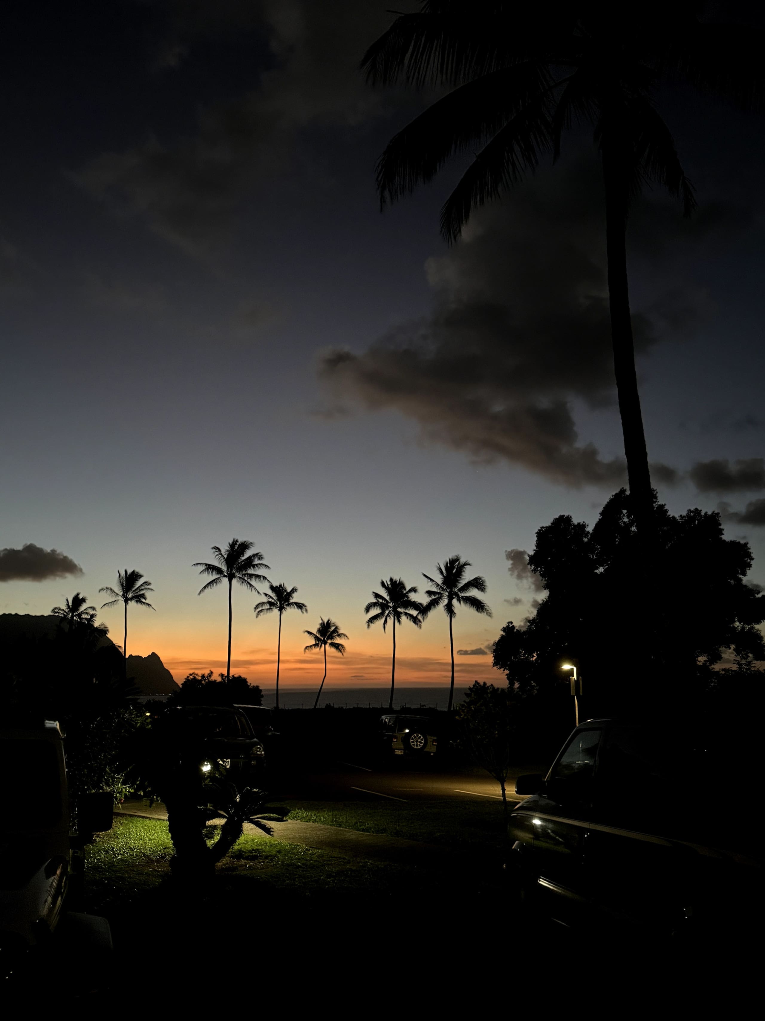 Condo in Princeville · ★4.98 · 1 bedroom · 1 bed · 1 bath - Image 63
