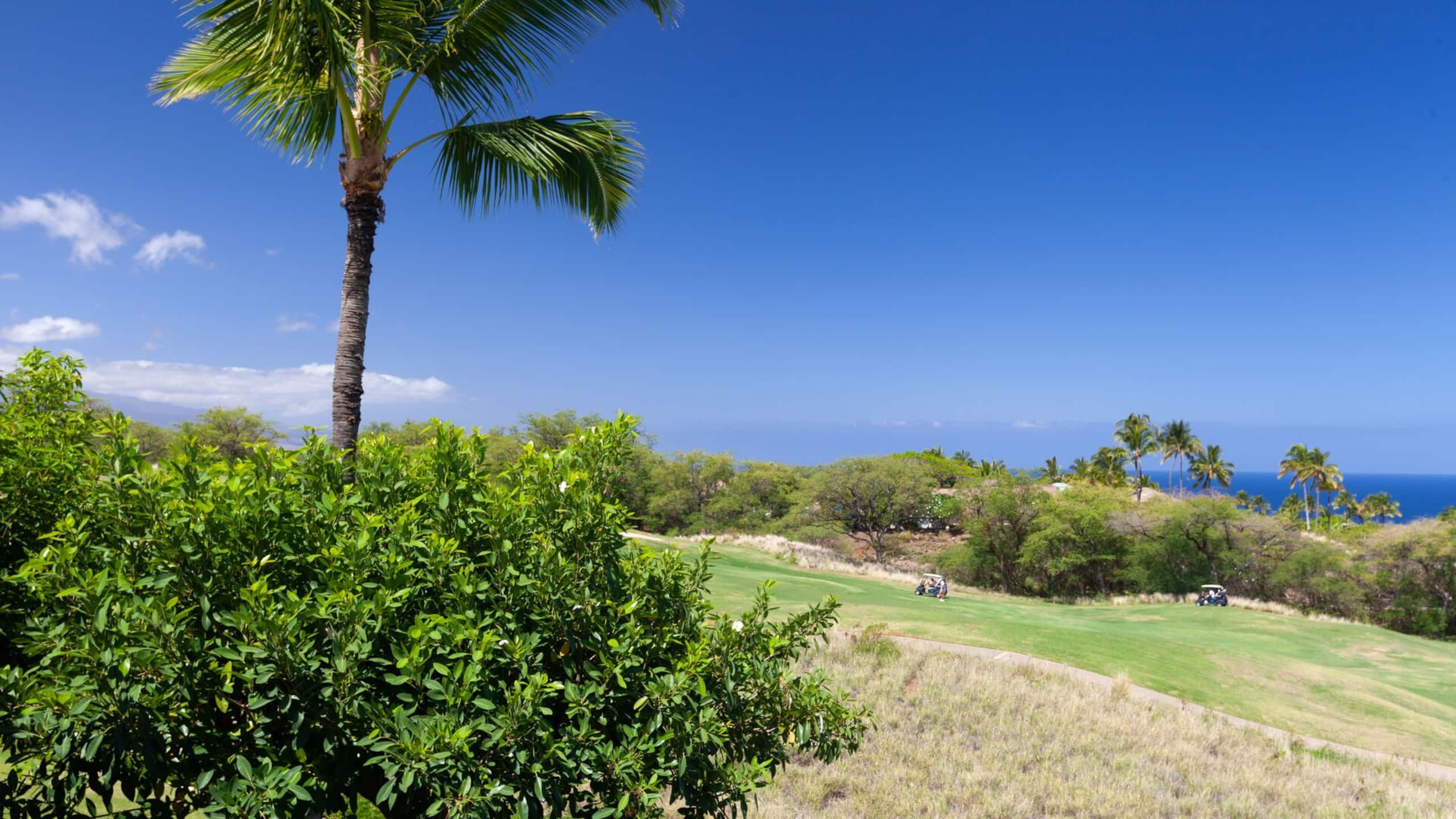 PiH Mauna Kea Horizon ~ Ocean Views, Sleeps Eight! - Photo 46