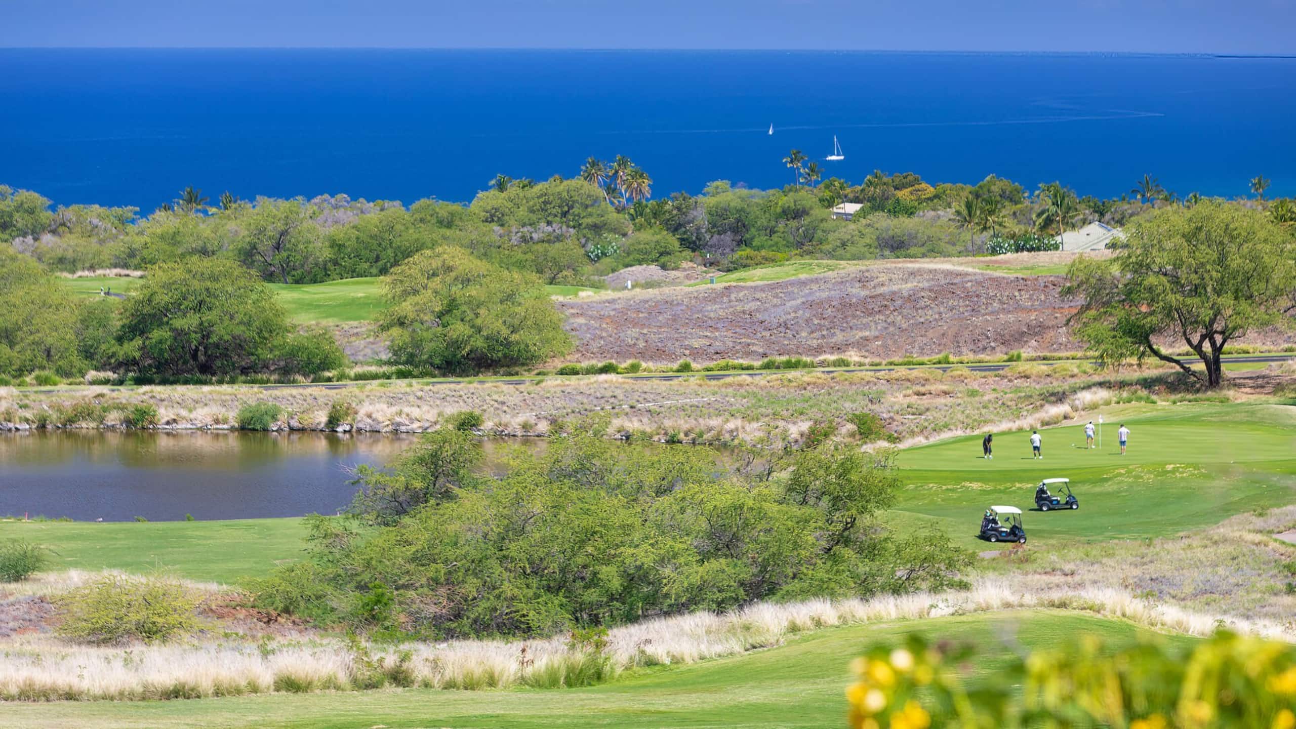 PiH Mauna Kea Horizon ~ Ocean Views, Sleeps Eight! - Photo 29