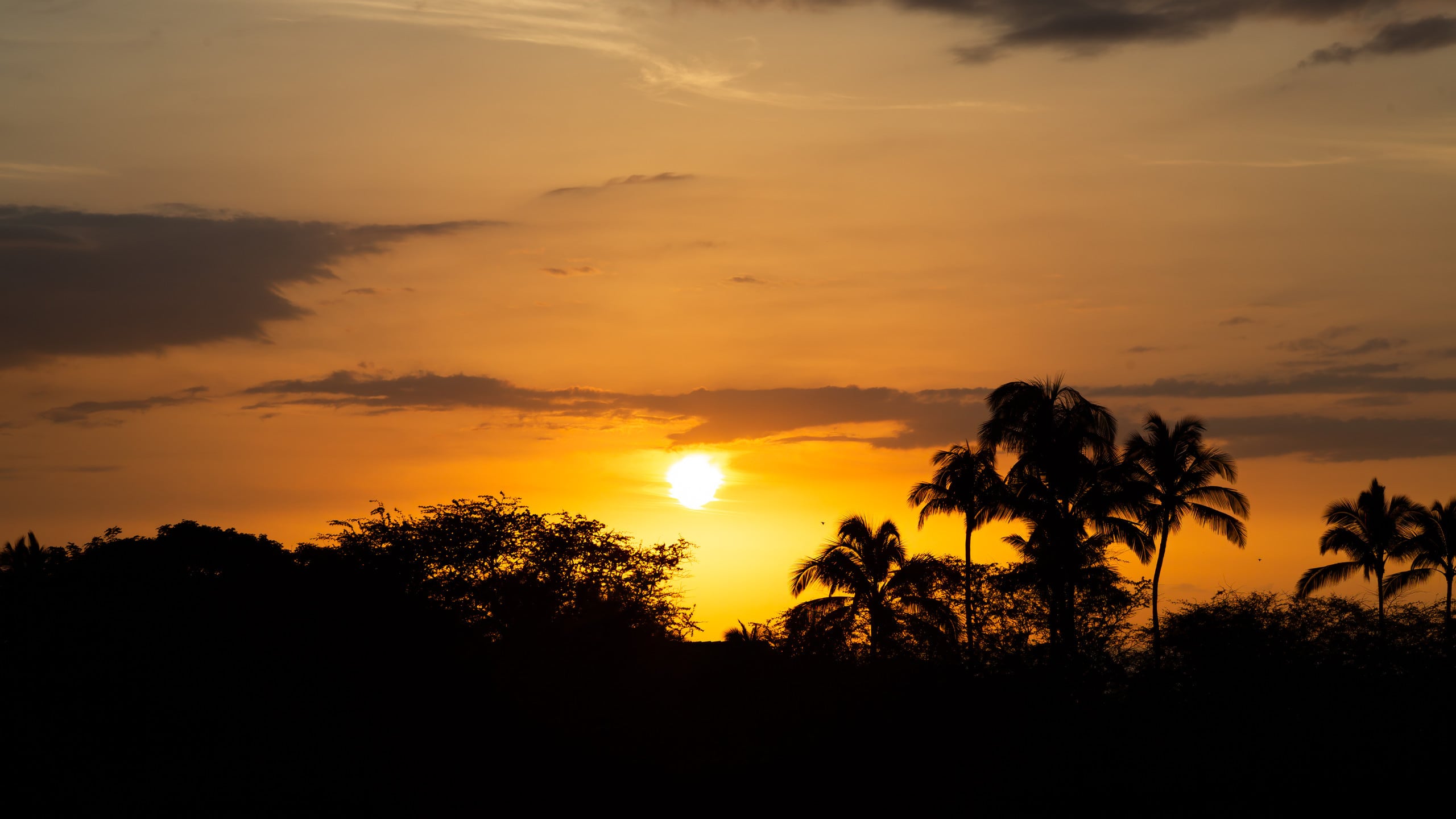 PiH Mauna Kea Horizon ~ Ocean Views, Sleeps Eight! - Photo 43