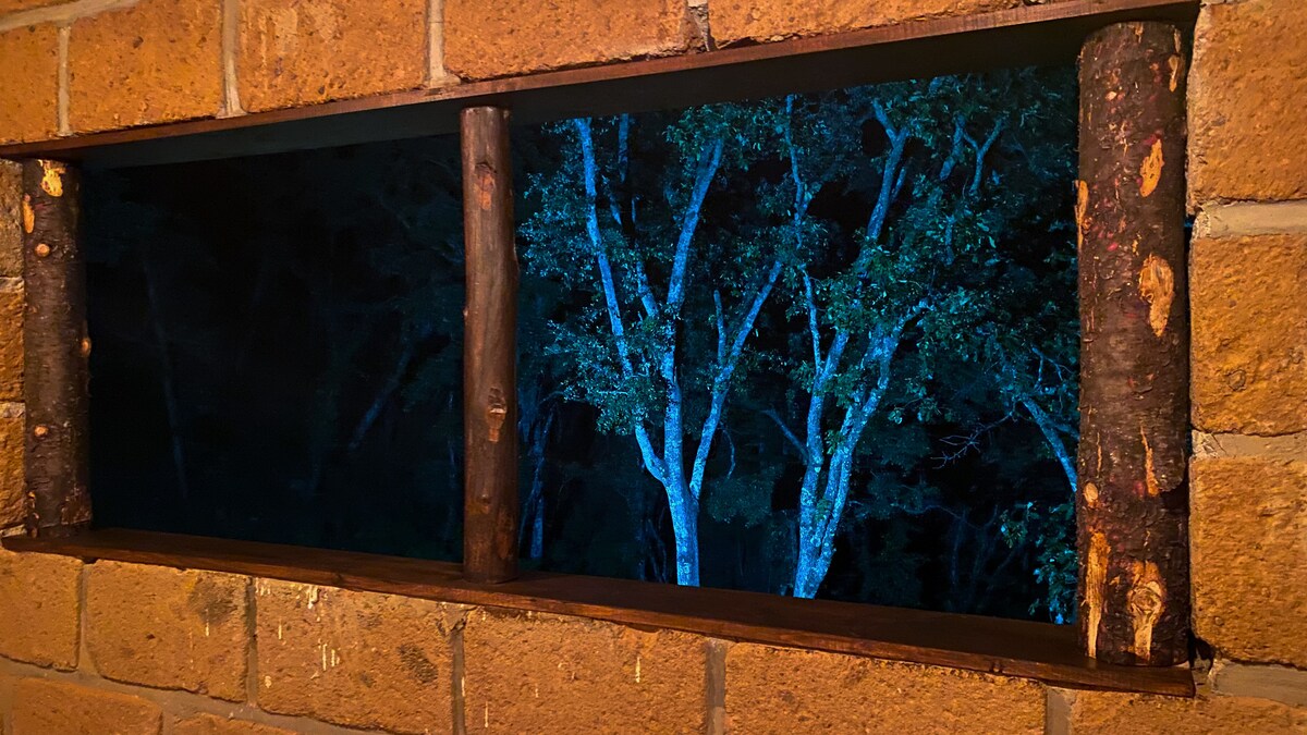 A window framed by rustic wooden logs offers a view of the tranquil forest at night. Soft blue lighting highlights the trees, creating a peaceful ambiance that invites relaxation and connection with nature.