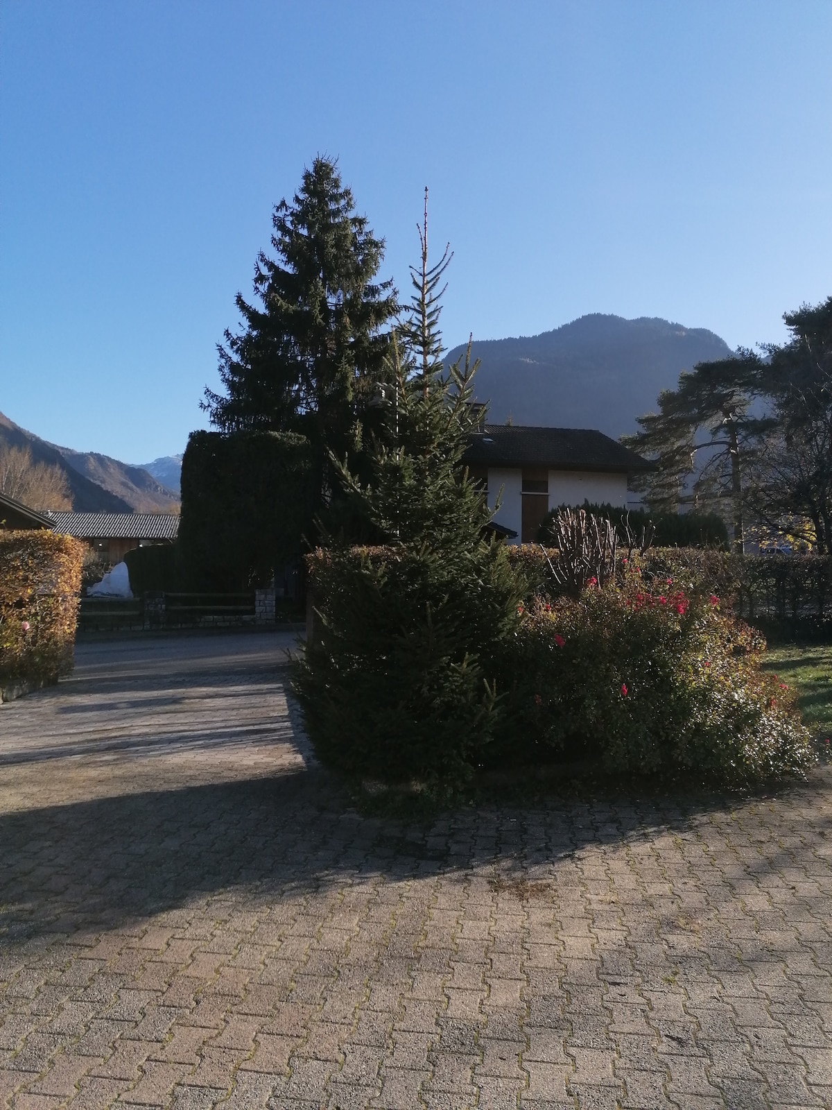 A clear blue sky provides a bright backdrop for a family house surrounded by trees and shrubs. A winding stone path leads to the entrance, with a prominent evergreen standing tall among the greenery. Majestic mountains rise in the distance, framing the peaceful setting.