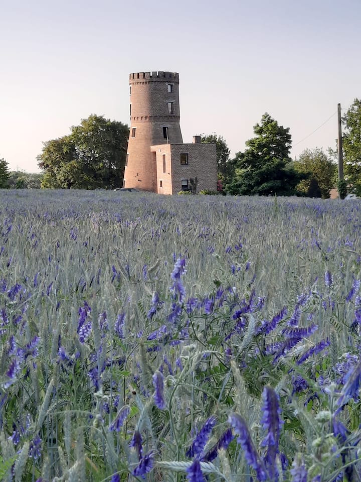 La Tour De Mons - Mons