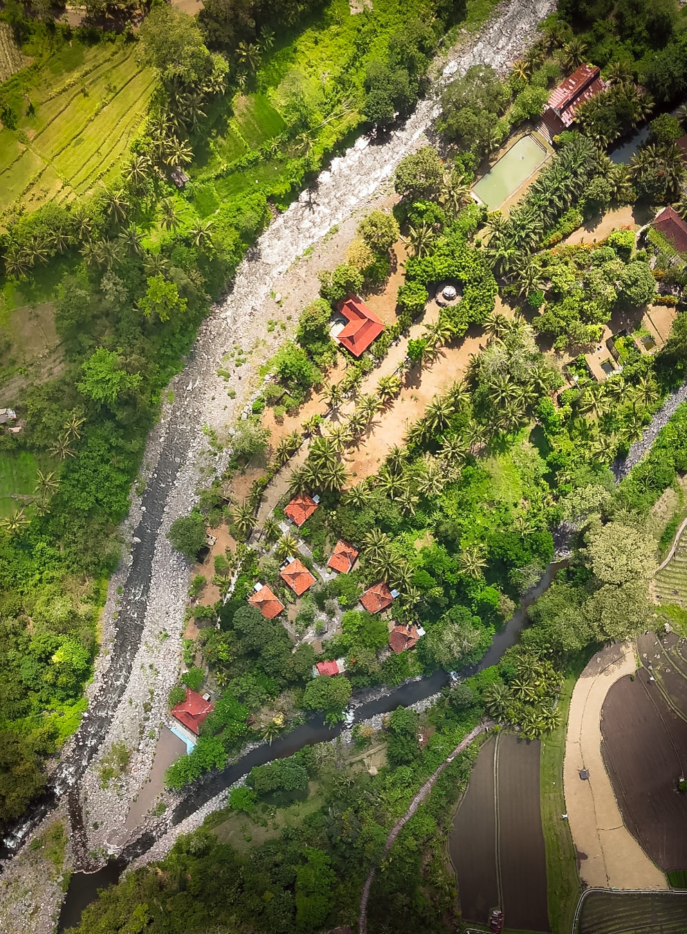 An aerial view captures a lush landscape featuring six small villas nestled amid vibrant greenery. A winding river borders the property, reflecting the surrounding nature. Various palm trees dot the area, enhancing the sense of tranquility, while cultivated fields emerge in the distance.