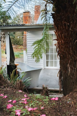 Fern Mt Field – Luxe Cottage on Tyenna River