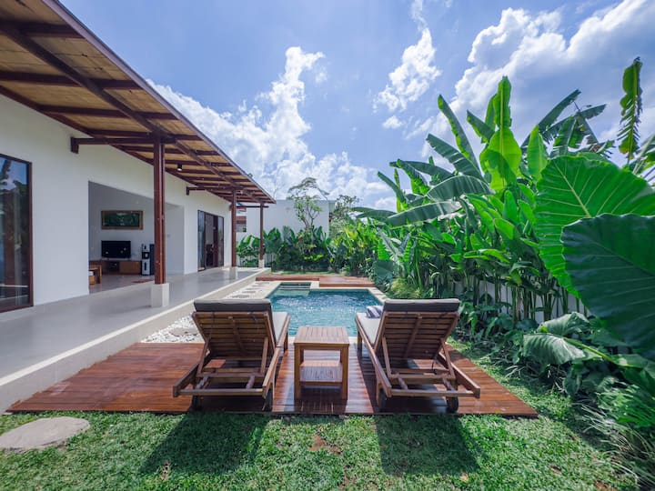 Two Bedroom Pool Villa Ubud With Open Green Area - Ubud