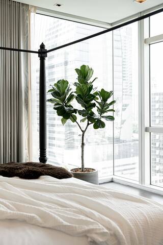 Teakwood Suites: Refined Living in Bangkok gallery image 5