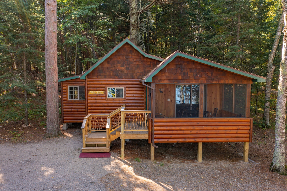 A rustic cabin is nestled among tall trees, featuring wooden siding and a green roof. A screened-in porch extends from the main structure, complemented by a wooden ramp leading to the entrance. Natural surroundings create a serene outdoor setting.