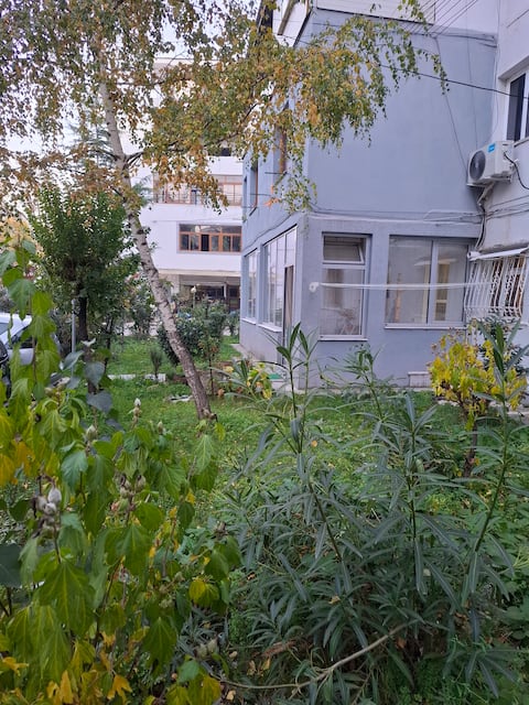 Popular Airbnb listing: Rinia Apartment in Pogradec