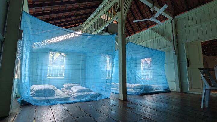 Le hall principal. Traditionnellement utilisé pour tout, des activités quotidiennes au sommeil. 

Une grande famille heureuse. Cet espace de 18 pieds * 20 pieds peut accueillir de petits événements. 

Ici, nous avons installé 4 lits simples à des fins d'illustration.