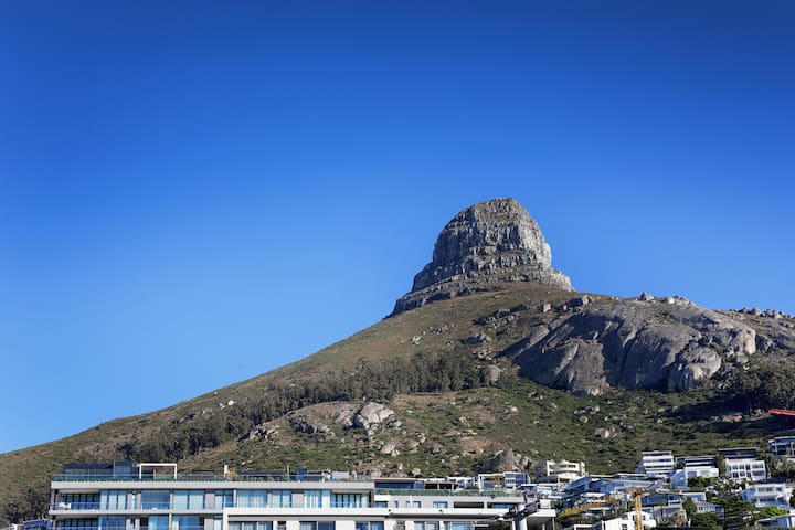 Rochester House – Number 8