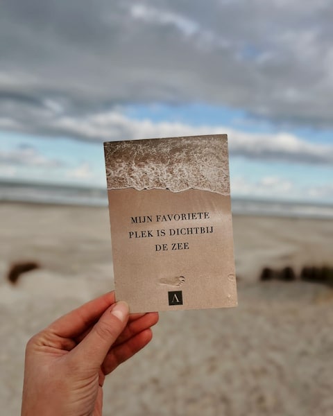 Ambiance Ameland 4 pers. with wood-fired hot tub