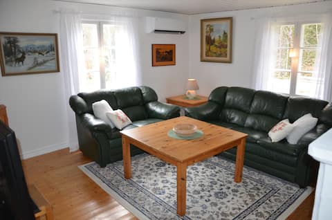 Successful Airbnb property: Cabin in Hunnamåla in Tingsryd