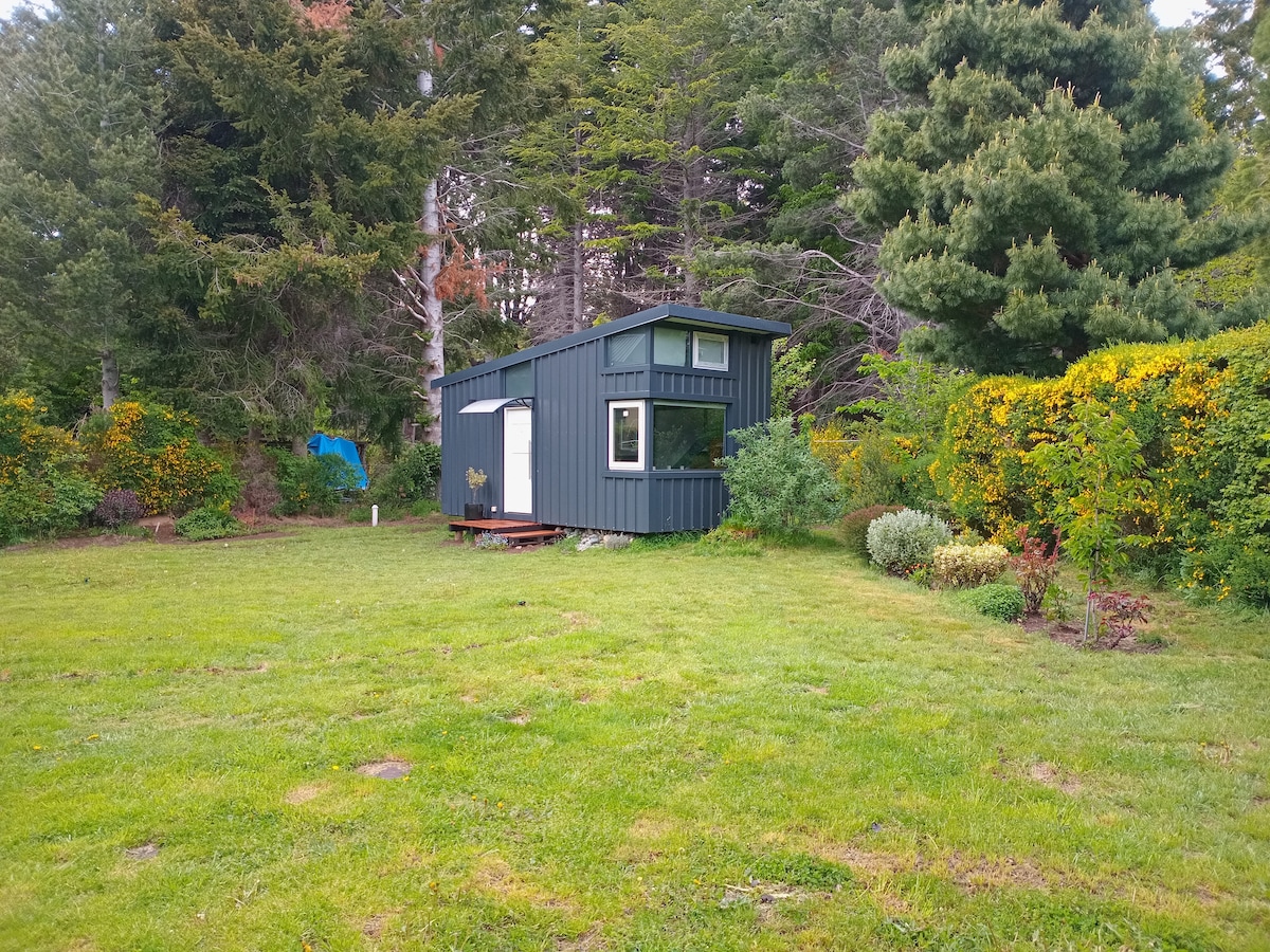 A small, modern casita is shown amidst a lush green landscape, surrounded by native Patagonian forest. The exterior features large windows and a welcoming front door. Various shrubs and trees provide a natural backdrop, emphasizing the tranquil setting of the property.