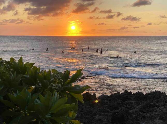 Newly Renovated Luxury Aloha Escape ~ Turtle Bay gallery image 3
