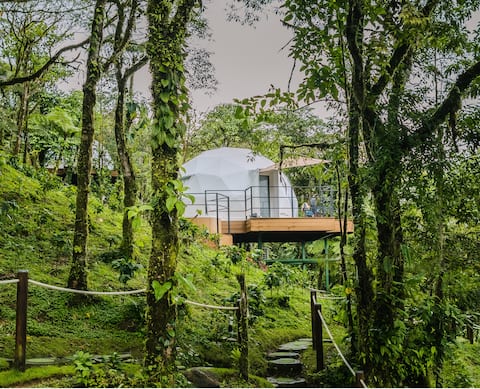 Los Domos Panama, Domo Aire, Glamping in the Heights.