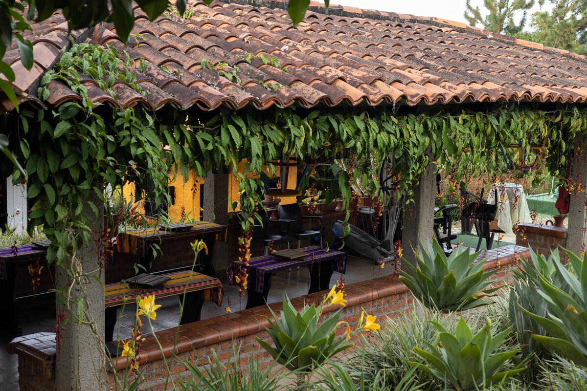 A covered patio is adorned with lush green vines and some colorful flowers, providing a shaded space for relaxation. The area features several tables and chairs arranged along the sides, surrounded by vibrant plants and a tranquil atmosphere.