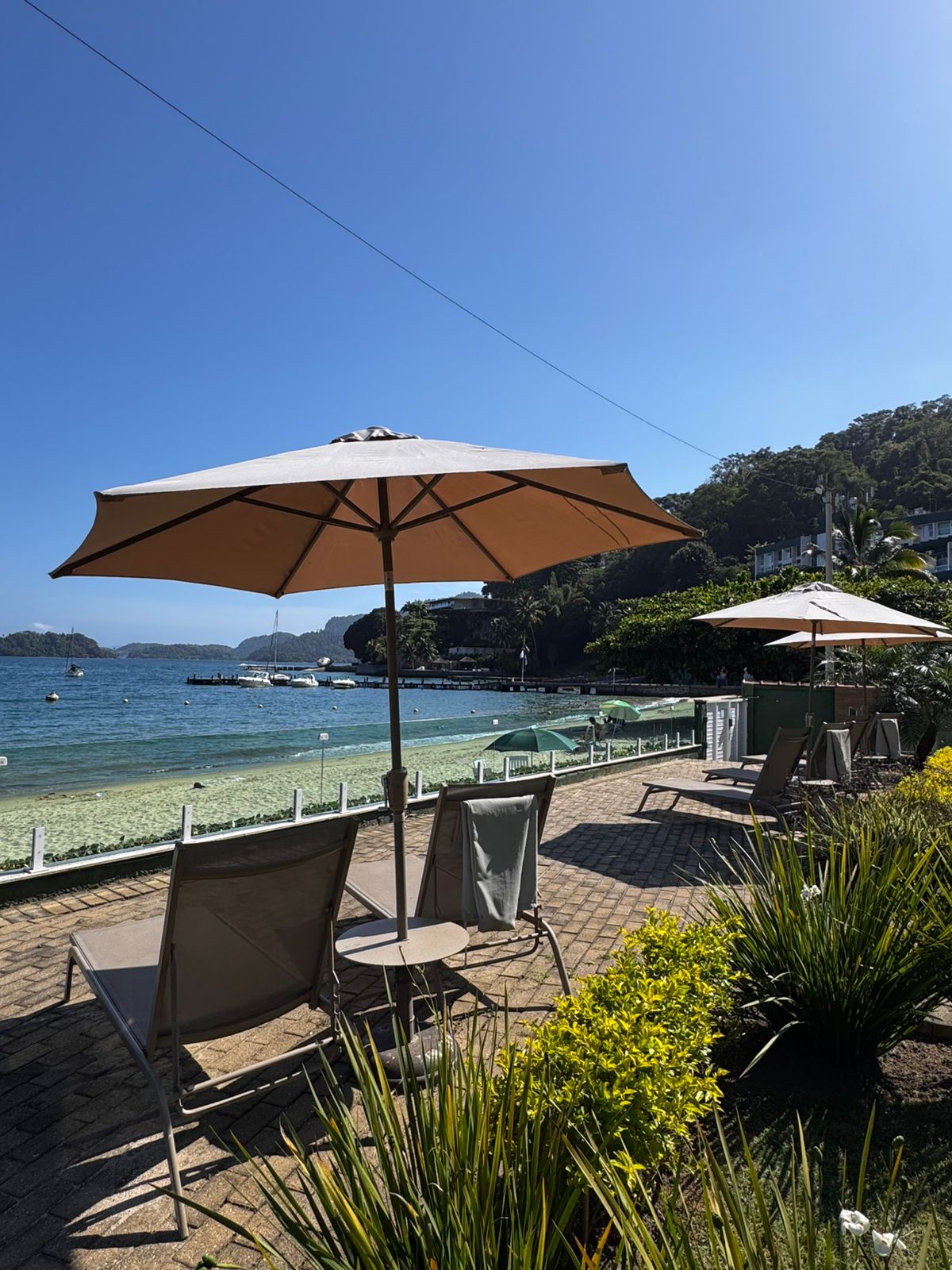 A serene outdoor area features lounge chairs and umbrellas set against a clear blue sky and calm water. Lush greenery surrounds the space, enhancing the natural beauty while providing a relaxing environment for guests to enjoy the beachfront.