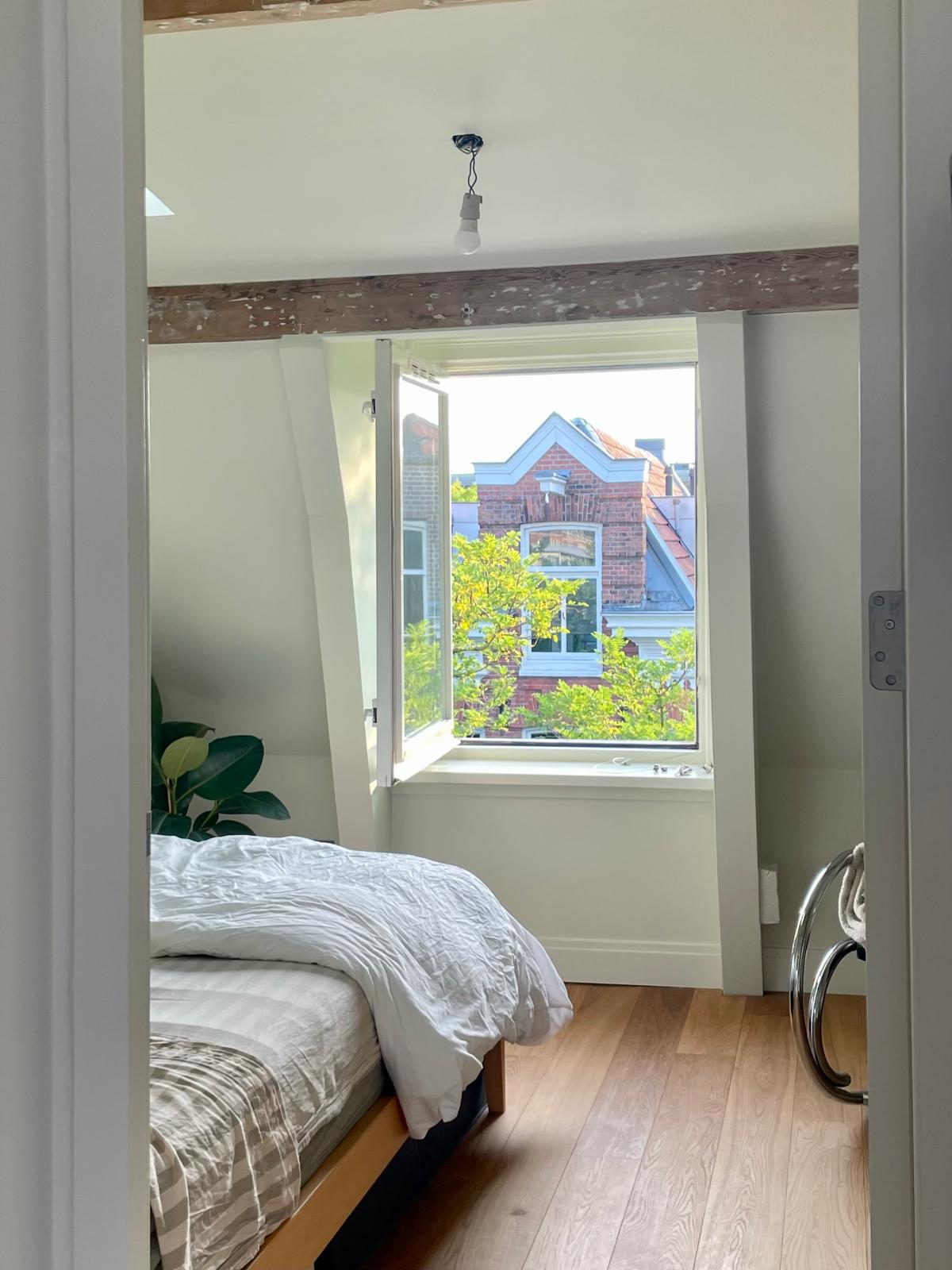 Pohľad nad korunami stromov