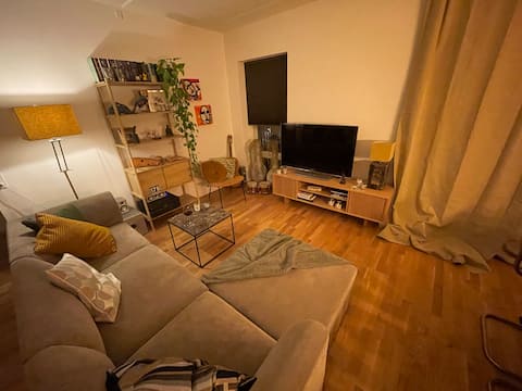Modern and comfortable home near to Copenhagen