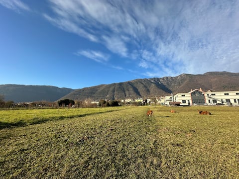 Boutique Designer Studio · Stunning Mountain Views