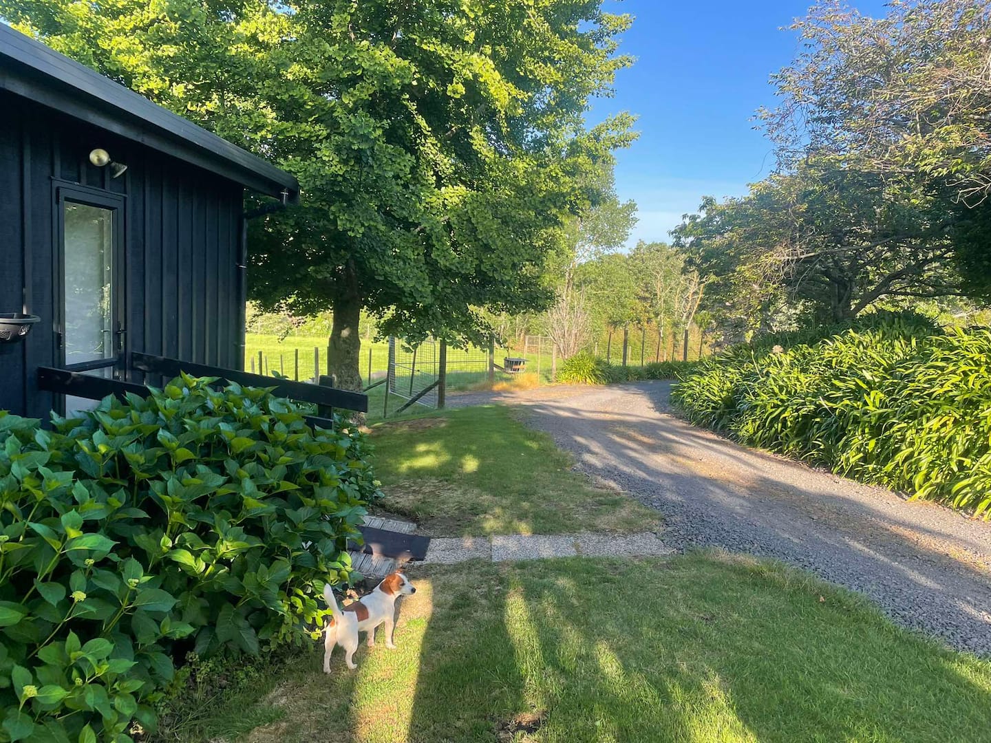Pukekohe/location!/romantic Cottage/farm Life 3